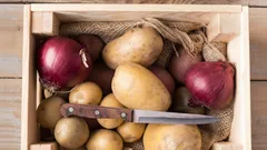 Poista nämä tekijät – perunasi eivät mätäne: agronomin säilytysvinkit