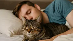 Yöherätyskello tassuilla: Kuinka kissa vie unesi – ja mitä sille voi tehdä