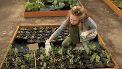 Talvipäivän salaisuudet: mitä kylvää marraskuussa upean kevätsadon saamiseksi