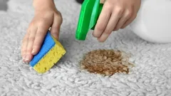 Kaatuiko kahvi matolle? Helppo niksi poistaa tahra ilman kallista kemiaa