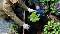 Puutarhan talvenkestävyyden vinkit: näin varmistat runsaan sadon keväällä