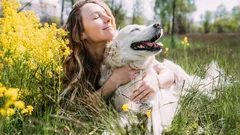 Ilo DNA-tasolla: Mitä tapahtuu koiran elimistössä, kun palaat kotiin