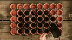 Vinkit taimien kasvuun: enemmän satoa vähemmällä vaivalla