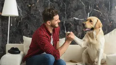 Puhutko usein lemmikkisi kanssa? Näin asiantuntijat selittävät, mitä se tarkoittaa