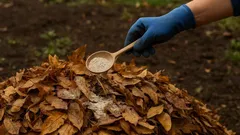 Kolme lusikallista – lehdet muuttuvat kullaksi: edullinen lannoite, joka korvaa lannan