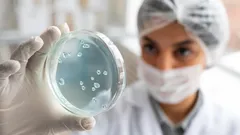 Vuosisadan huijaus: tämä bakteeri teeskentelee kuollutta selviytyäkseen vaikeissa olosuhteissa