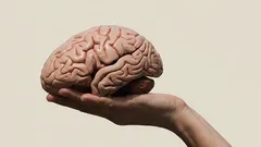 Aivojen salaisuudet: uskomattomat kyvyt, jotka meillä kaikilla on