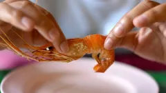 Kuinka puhdistaa katkaravut kahdessa sekunnissa: keittiömestarin hämmästyttävä "kiertomenetelmä"