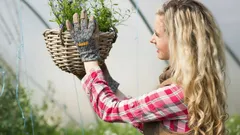 Yksi päivä syksyllä – ja puutarha on suojattu: käsittely, joka estää tuholaisia heräämästä keväällä