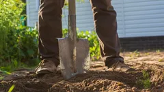 Kasvit lakkaavat kasvamasta: marraskuun virhe, joka johtaa sadon puutteeseen